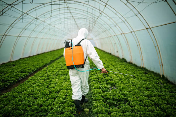 Best Pest Control Treatment  in Timpson, TX
