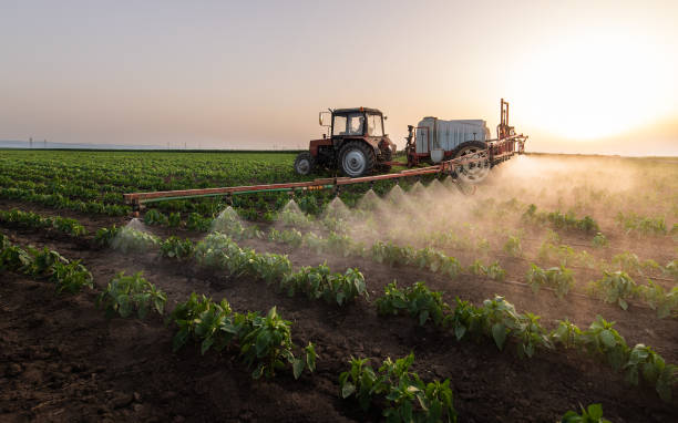 Pest Control for Restaurants in Timpson, TX