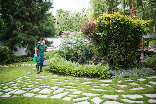 Best Best Pest Control Companies  in Timpson, TX