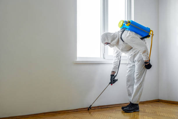 Best Rat Extermination Near Me  in Timpson, TX